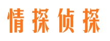 天峻市侦探调查公司